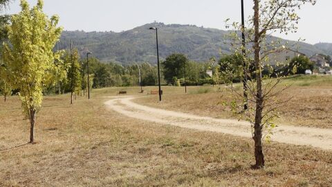 O Concello de Ourense insiste no proxecto de prantar 14 mil &aacute;rbores