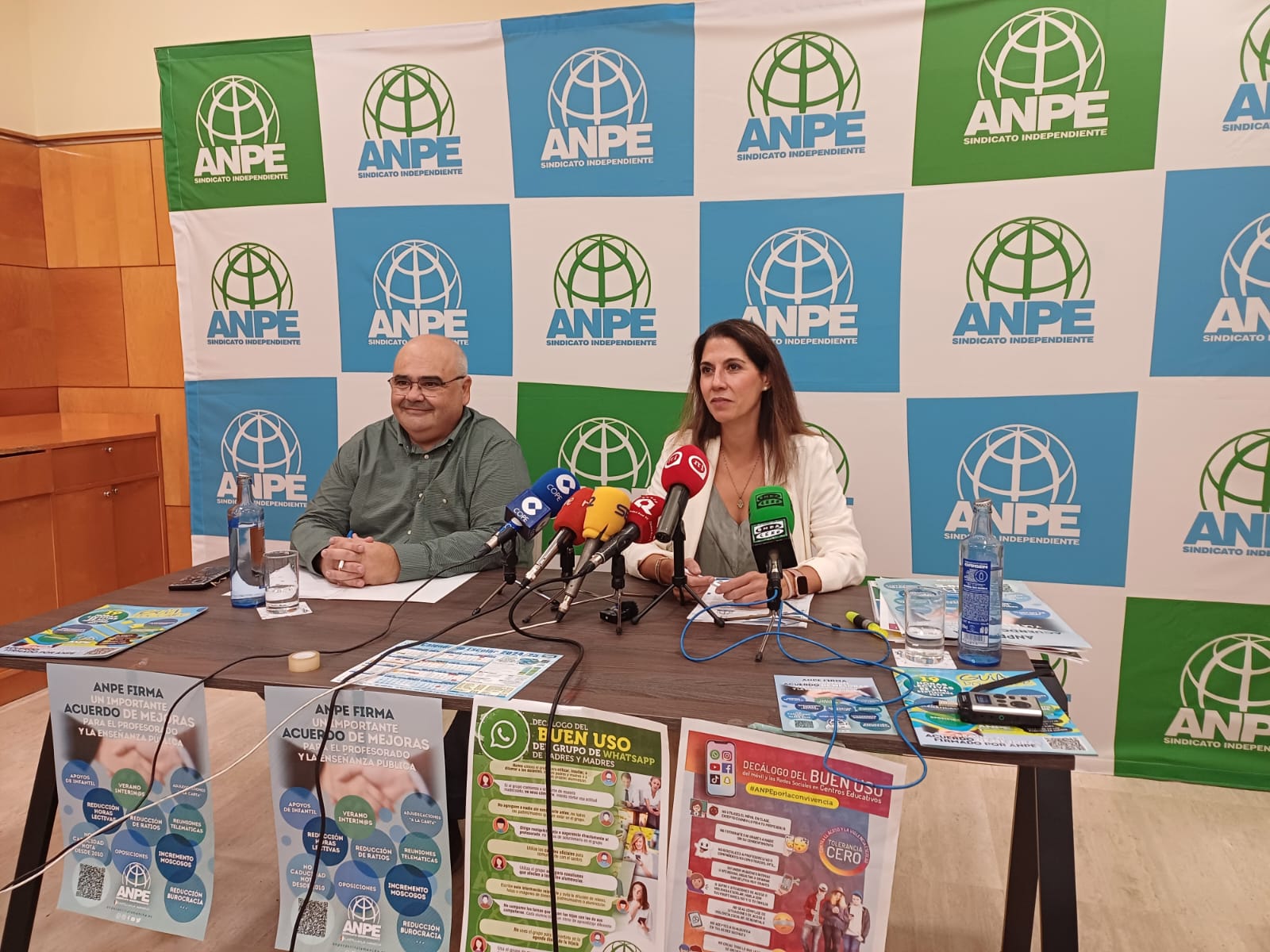 ANPE y UGT no secundan la huelga de profesores en la provincia de Ciudad Real ANPE y UGT no secundan la huelga de profesores en la provincia de Ciudad Real