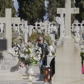 Cementerio de San Fernando en la festividad de Todos los Santos Cementerio de San Fernando en la festividad de Todos los Santos