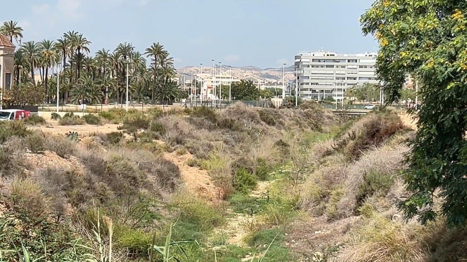 El PSOE de Elche exige adecuar los barrancos del municipio ante la posibilidad de lluvias intensas El PSOE de Elche exige adecuar los barrancos del municipio ante la posibilidad de lluvias intensas