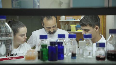 Cient&iacute;ficos en la Universidad de M&aacute;laga