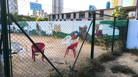 Ausencia de bancos en parques caninos de Benidorm denunciado por el PSOE Ausencia de bancos en parques caninos de Benidorm denunciado por el PSOE