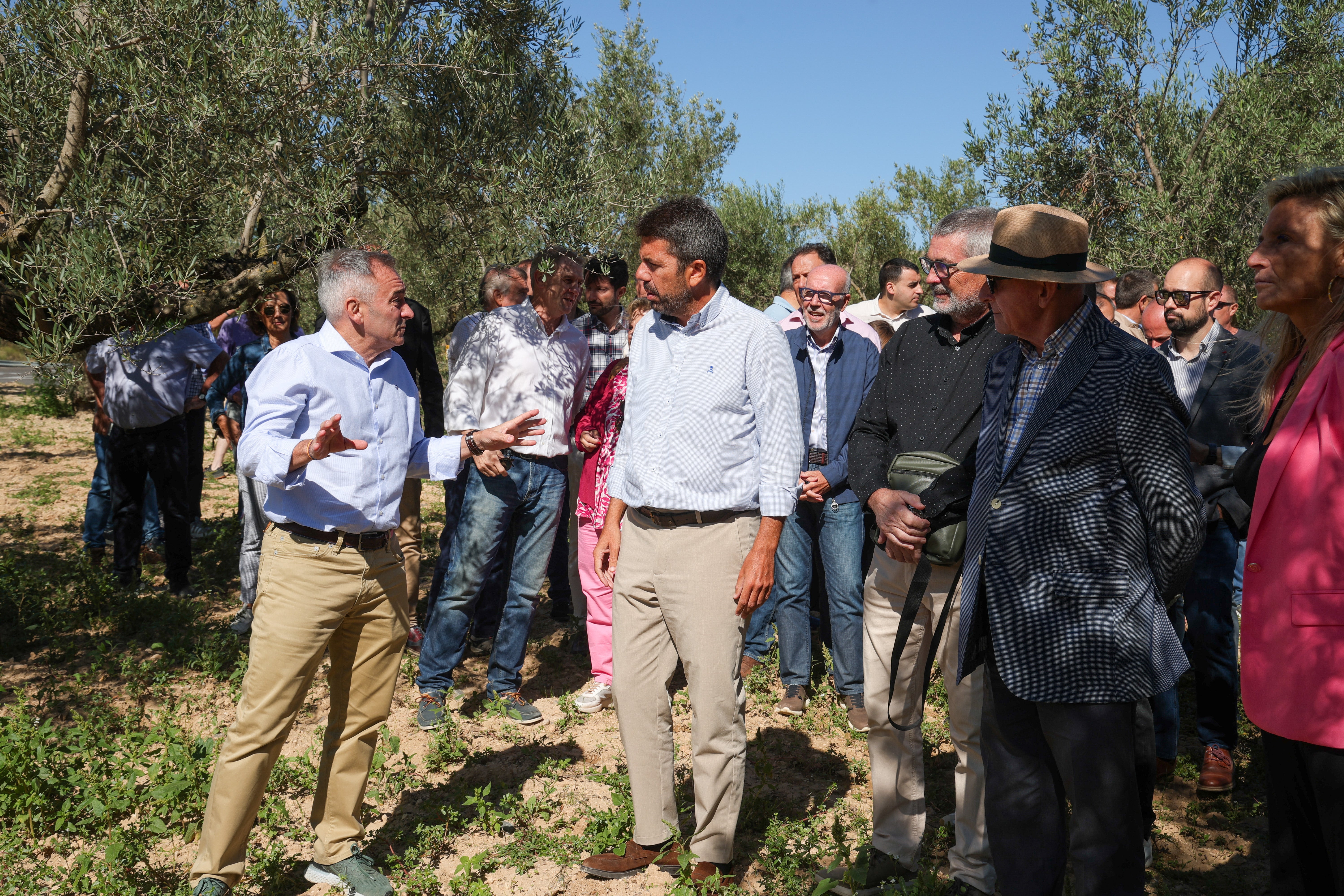 Mazón anuncia 17 millones de ayudas directas a agricultores y ganaderos para paliar los efectos de la sequía Mazón anuncia 17 millones de ayudas directas a agricultores y ganaderos para paliar los efectos de la sequía