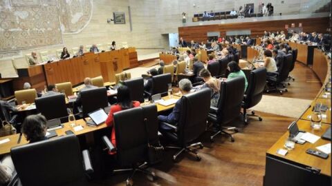 Pleno Asamblea de Extremadura