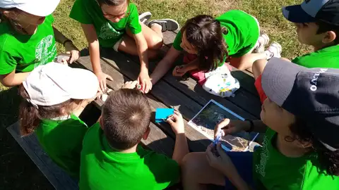 El proyecto 'Libera' lanza la séptima edición de su programa de educación ambiental para luchar contra la 'basuraleza' El proyecto 'Libera' lanza la séptima edición de su programa de educación ambiental para luchar contra la 'basuraleza'