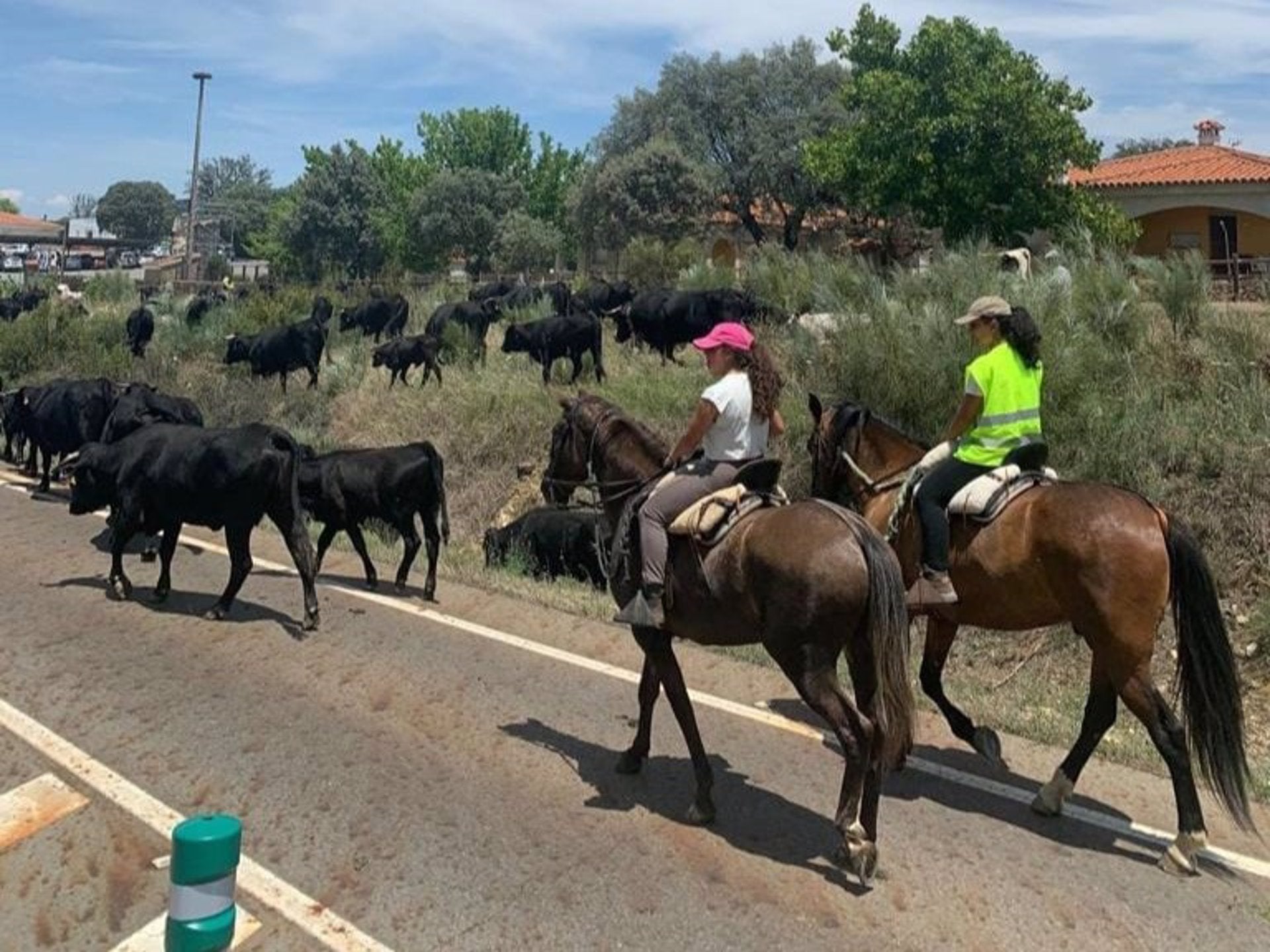 El Centro de Formación del Medio Rural de Moraleja oferta un nuevo módulo de auxiliar de reses de lidia El Centro de Formación del Medio Rural de Moraleja oferta un nuevo módulo de auxiliar de reses de lidia