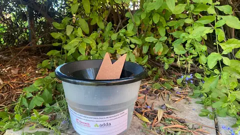 La Diputación de Castellón intensifica el control de plagas de mosquito tigre y realiza inspecciones entomológicas en municipios de la provincia donde aún no se ha registrado su presencia La Diputación de Castellón intensifica el control de plagas de mosquito tigre y realiza inspecciones entomológicas en municipios de la provincia donde aún no se ha registrado su presencia