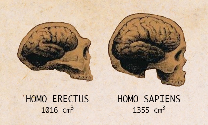 La meditación es un aliado que ayuda a nuestro cerebro a focalizar en el presente La meditación es un aliado que ayuda a nuestro cerebro a focalizar en el presente