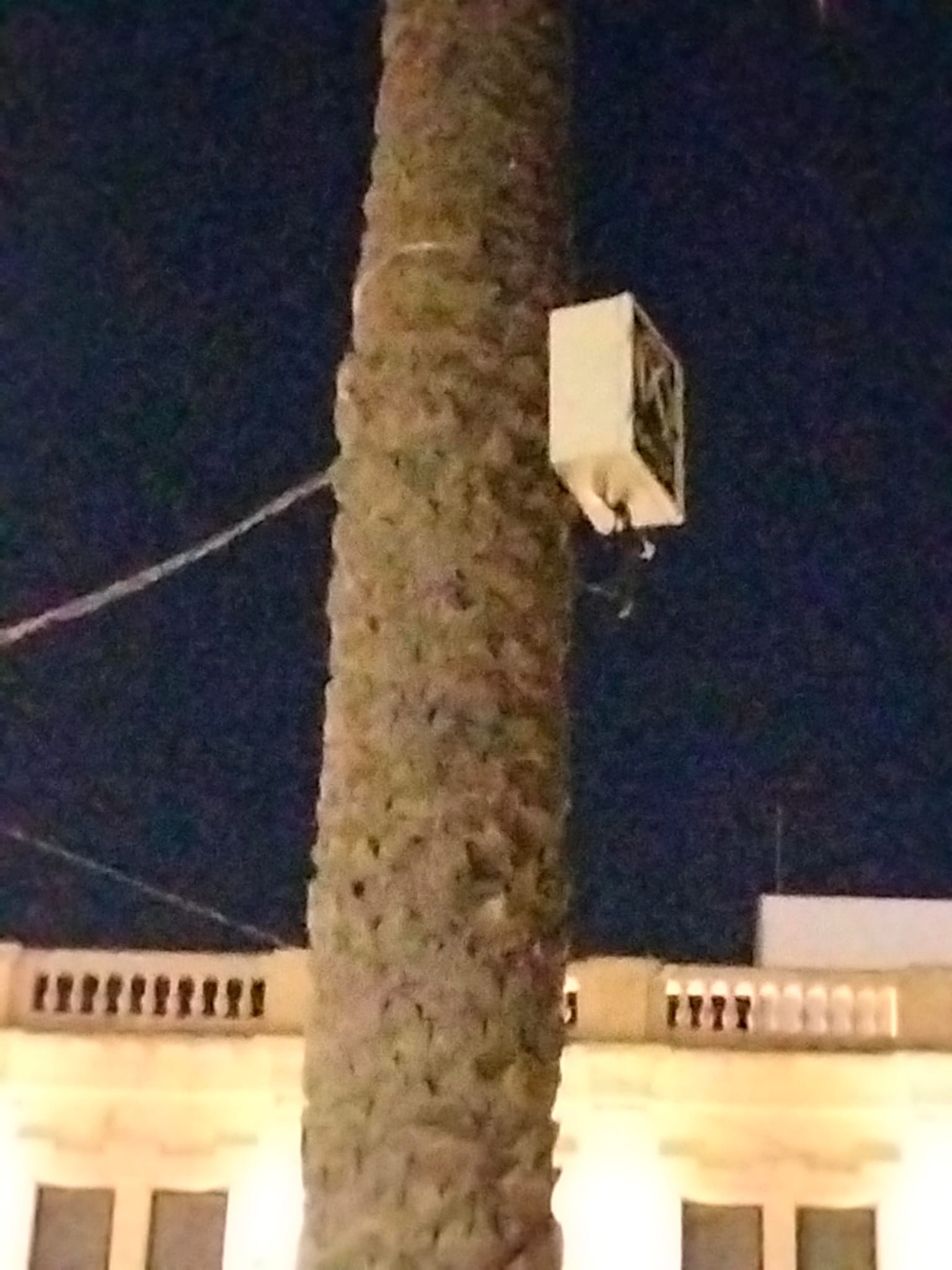 Más de uno Ceuta 16/9/24 Más de uno Ceuta 16/9/24