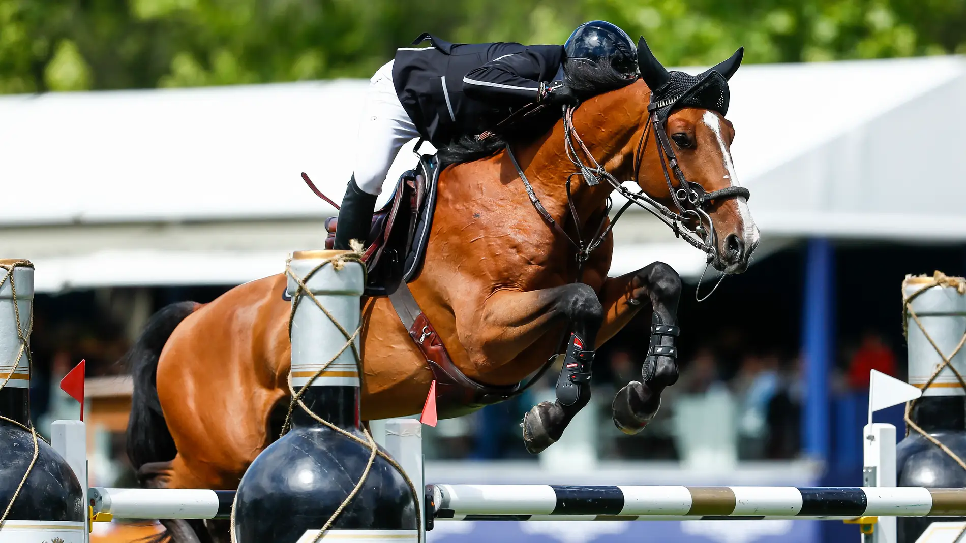 Eduardo Aznar Eduardo Aznar