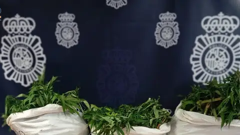 Imagen de la droga incautada. Imagen de la droga incautada.