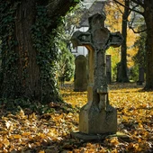El cementerio de Marcús El cementerio de Marcús