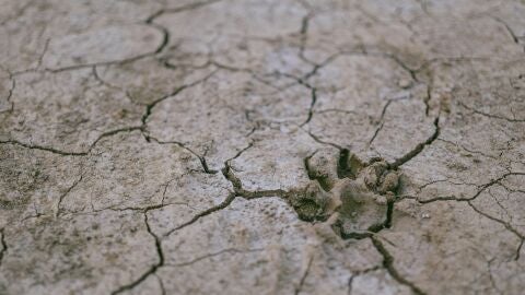 La salud y la alimentaci&oacute;n, por el efecto del cambio clim&aacute;tico en la agricultura, principales preocupaciones