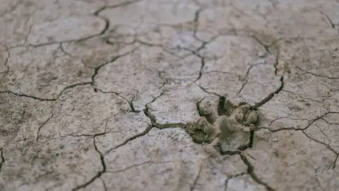 La salud y la alimentación, por el efecto del cambio climático en la agricultura, principales preocupaciones La salud y la alimentación, por el efecto del cambio climático en la agricultura, principales preocupaciones