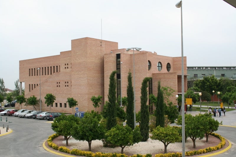 La Plataforma 'Tu pueblo y el mío' aplaude la llegada de nuevas titulaciones de la UMH "pero queda mucho por la Orihuela universitaria" La Plataforma 'Tu pueblo y el mío' aplaude la llegada de nuevas titulaciones de la UMH "pero queda mucho por la Orihuela universitaria"