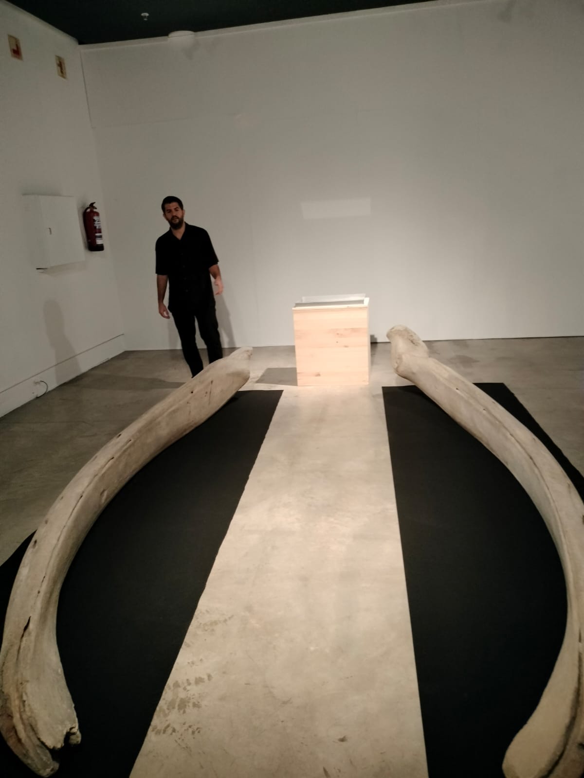 El pidgin vasco-islandés, la lengua de los balleneros vascos El pidgin vasco-islandés, la lengua de los balleneros vascos