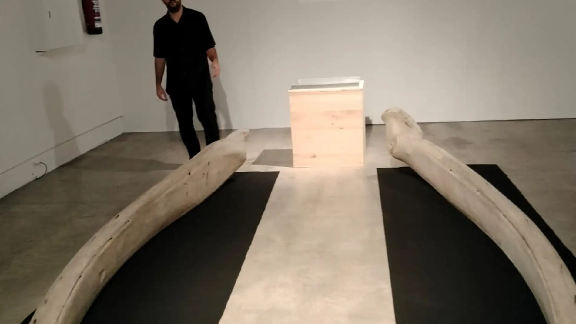 El pidgin vasco-islandes, la lengua de los balleneros vascos El pidgin vasco-islandes, la lengua de los balleneros vascos