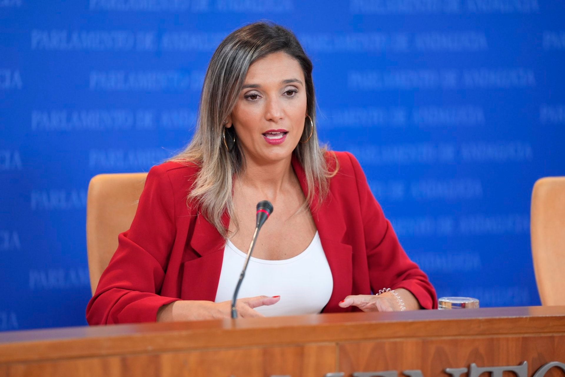 PSOE-A achaca a la Junta "corrupción sanitaria" por "robar 300 millones a la pública para entregárselos a la privada" PSOE-A achaca a la Junta "corrupción sanitaria" por "robar 300 millones a la pública para entregárselos a la privada"