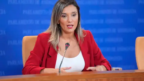 PSOE-A achaca a la Junta "corrupción sanitaria" por "robar 300 millones a la pública para entregárselos a la privada" PSOE-A achaca a la Junta "corrupción sanitaria" por "robar 300 millones a la pública para entregárselos a la privada"