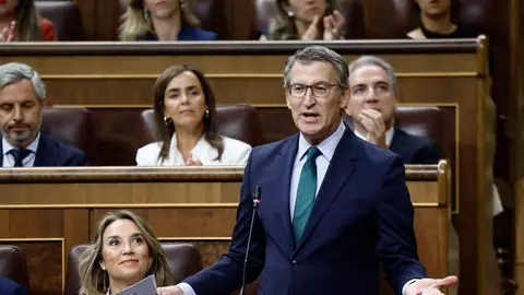 El presidente del PP, Alberto Núñez Feijóo, interviene en la sesión de control al Gobierno celebrada este miércoles en el Congreso. El presidente del PP, Alberto Núñez Feijóo, interviene en la sesión de control al Gobierno celebrada este miércoles en el Congreso. EFE/Sergio Pérez