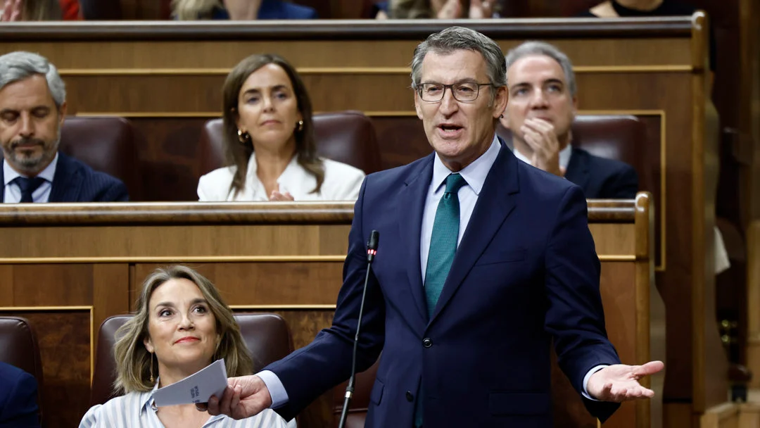 El presidente del PP, Alberto Núñez Feijóo, interviene en la sesión de control al Gobierno celebrada este miércoles en el Congreso. El presidente del PP, Alberto Núñez Feijóo, interviene en la sesión de control al Gobierno celebrada este miércoles en el Congreso. EFE/Sergio Pérez