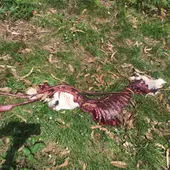 onda cero onda cero