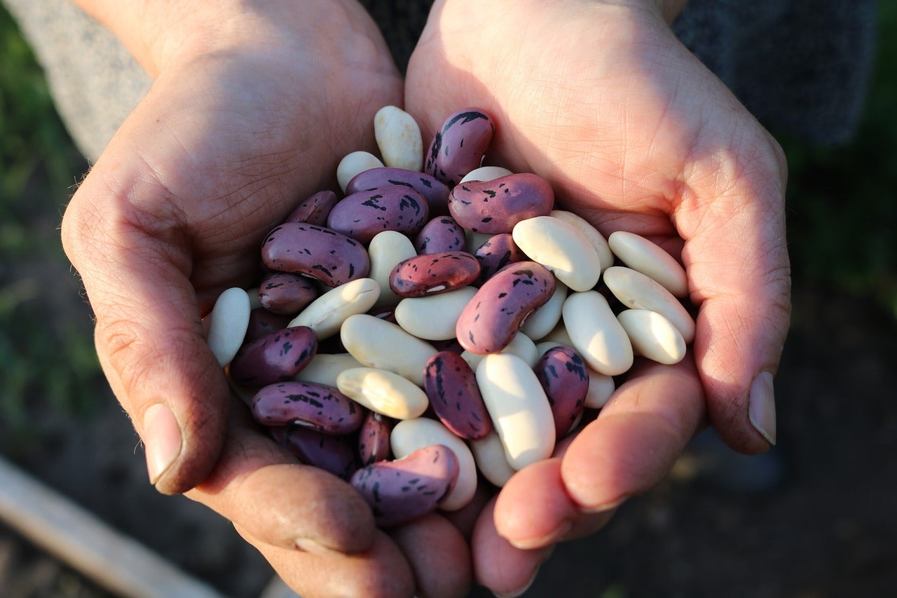 Los dos alimentos que prolongan la esperanza de vida hasta los 100 años, según este experto en longevidad Los dos alimentos que prolongan la esperanza de vida hasta los 100 años, según este experto en longevidad