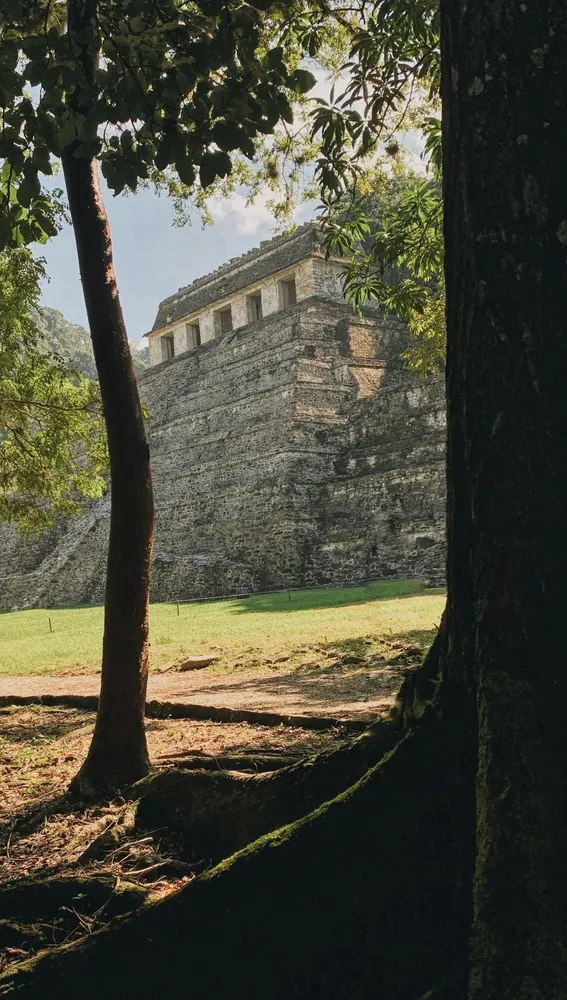 Viaje a Chiapas Viaje a Chiapas