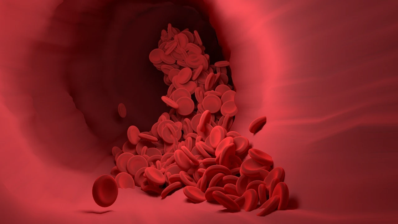 Conjunto de glóbulos rojos en la sangre