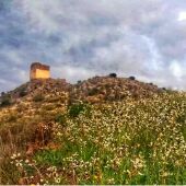 castillo overa