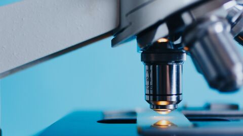 Ciencia 