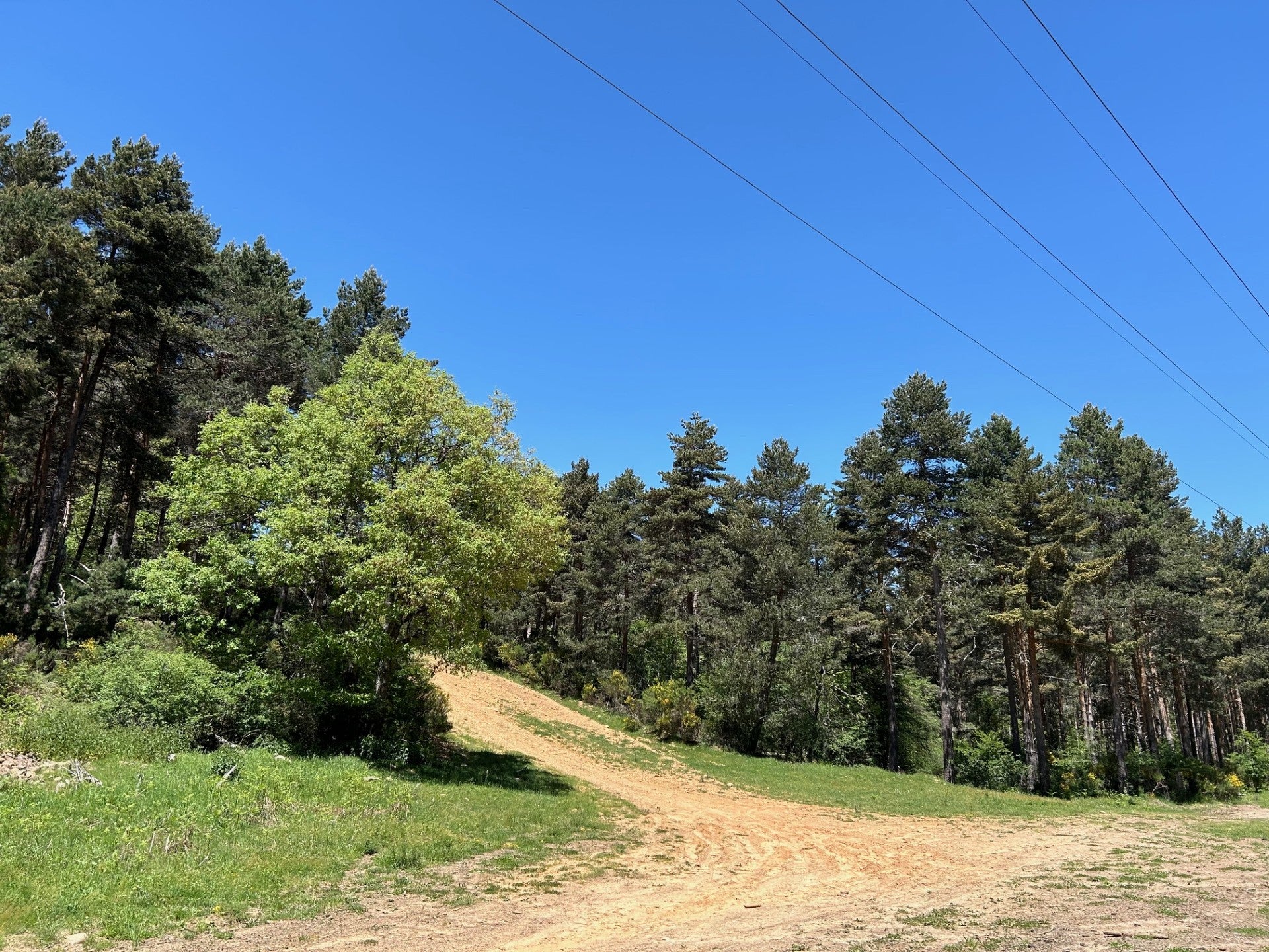 Adjudicada la redacción del proyecto y ejecución de las obras de adecuación de tres circuitos de Trail de descenso MTB Adjudicada la redacción del proyecto y ejecución de las obras de adecuación de tres circuitos de Trail de descenso MTB