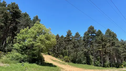 Adjudicada la redacción del proyecto y ejecución de las obras de adecuación de tres circuitos de Trail de descenso MTB .