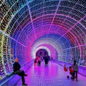 Navidad 2024: Almería contará con un "novedoso" túnel de iluminación musical y 77 casetas navideñas