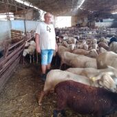 Luis Arturo Mallén, el ganadero de Algimia de Alfara a quien le han sustraído 140 ovejas, entre otros animales