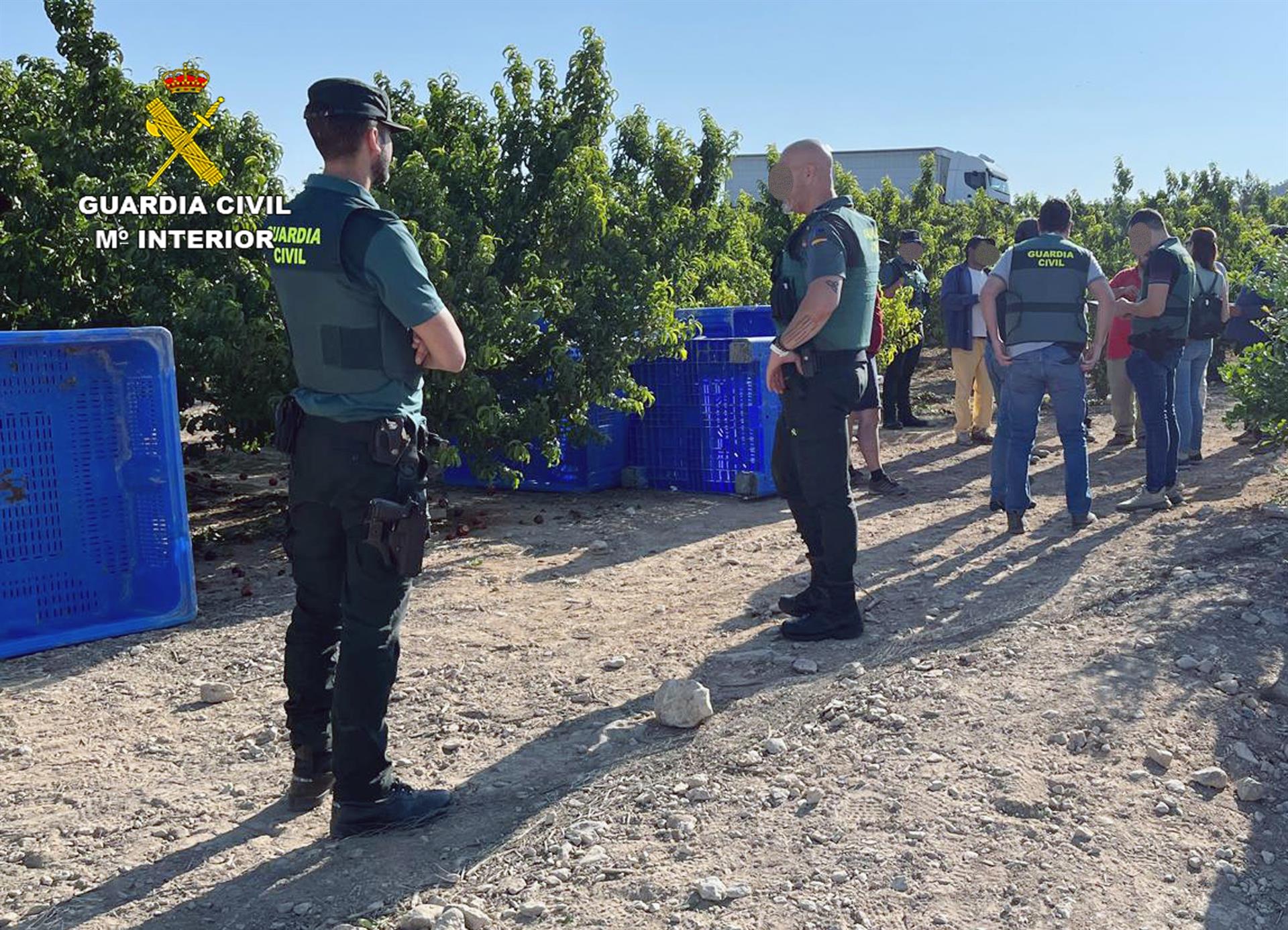 Detenidas 16 personas por empleo irregular de extranjeros en fincas agrícolas de Murcia Detenidas 16 personas por empleo irregular de extranjeros en fincas agrícolas de Murcia