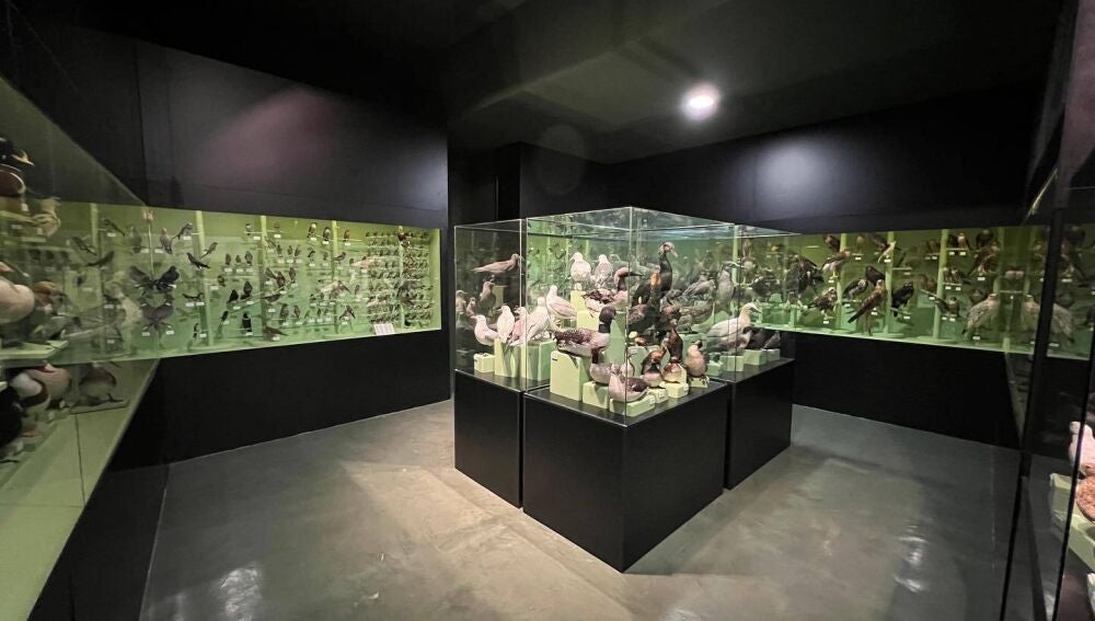 Piezas del museo de los hermanos Garoz que se trasladarán a Ciudad Real