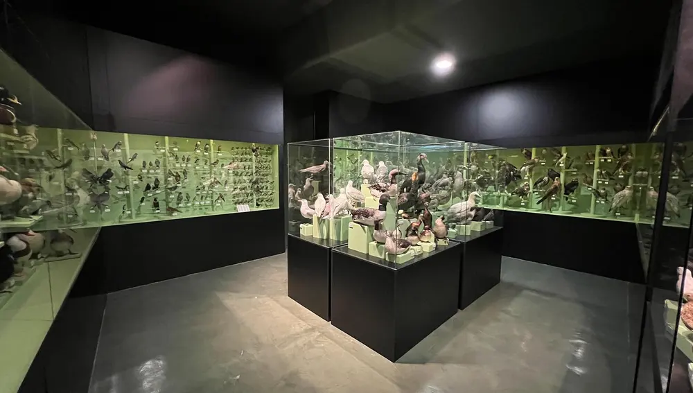 Piezas del museo de los hermanos Garoz que se trasladarán a Ciudad Real Piezas del museo de los hermanos Garoz que se trasladarán a Ciudad Real