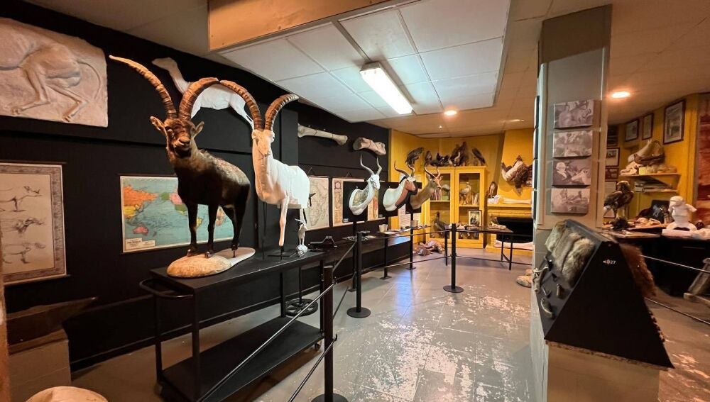 Museo privado de la familia Garoz en Los Yébenes