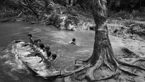 Tribus amazónicas Tribus amazónicas