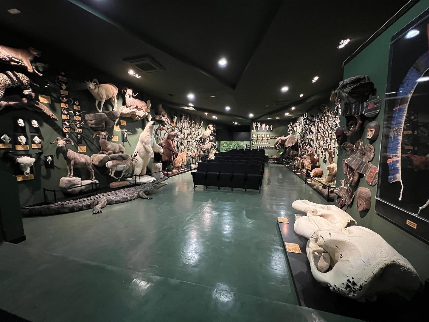 Los hermanos Garoz elaboran una segunda maqueta del Museo de la Caza de Ciudad Real: "El museo será una pasada" Los hermanos Garoz elaboran una segunda maqueta del Museo de la Caza de Ciudad Real: "El museo será una pasada"