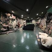 Piezas del museo privado de la familia Garoz que se podrán ver en el futuro Museo de la Caza de Ciudad Real