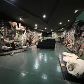 Piezas del museo privado de la familia Garoz que se podrán ver en el futuro Museo de la Caza de Ciudad Real Piezas del museo privado de la familia Garoz que se podrán ver en el futuro Museo de la Caza de Ciudad Real