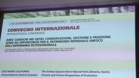 lapis specularis bolonia