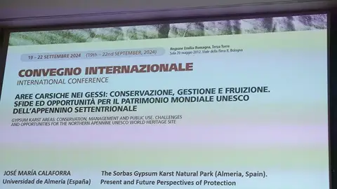 lapis specularis bolonia lapis specularis bolonia