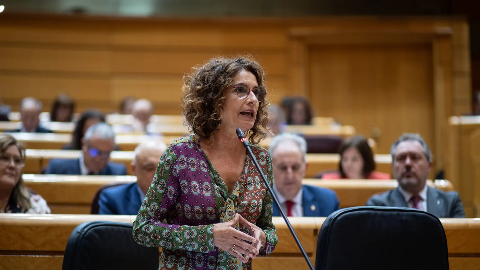 María Jesús Montero, ministra de Hacienda y vicepresidenta primera del Gobierno durante la sesión de control en el Senado María Jesús Montero, ministra de Hacienda y vicepresidenta primera del Gobierno durante la sesión de control en el Senado
