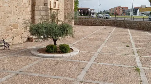 El Ayuntamiento realiza actuaciones de limpieza y eliminación de especies arbustivas en la ermita de La Antigua El Ayuntamiento realiza actuaciones de limpieza y eliminación de especies arbustivas en la ermita de La Antigua