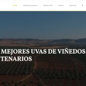 Bodegas Moralia
