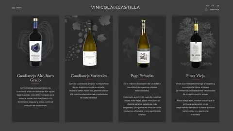 Vinos de Vinícola de Castilla Vinos de Vinícola de Castilla