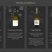 Vinos de Vinícola de Castilla Vinos de Vinícola de Castilla
